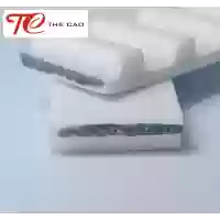 T20
