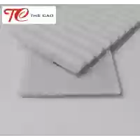 T5