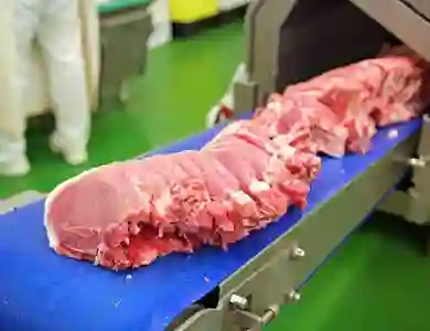 Băng tải ngành thực phẩm