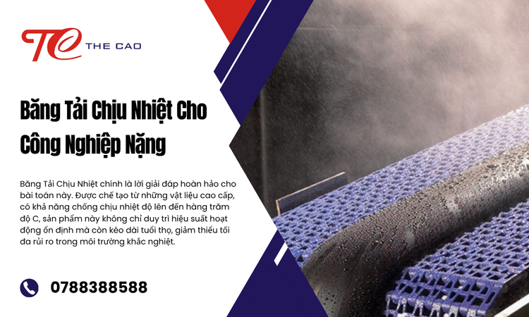 Sức Mạnh Vượt Trội Trước Thử Thách Của Nhiệt Độ