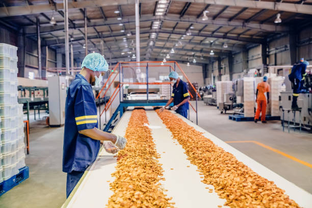 Secrets to Effective Industrial Conveyor Belt Maintenance