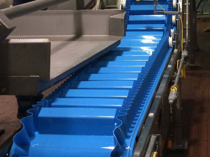 Practical Applications of Seamless TPU Conveyor Belts
