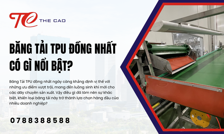 Seamless TPU Conveyor Belts: A Material Revolution