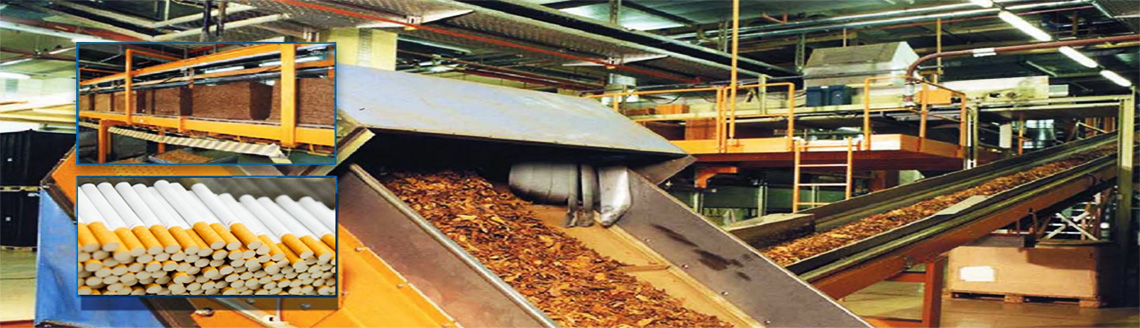 Thế Cao – Đồng Hành Cùng Sự Ổn Định Của Dây Chuyền Sản Xuất